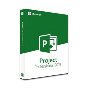 ms project pro 2019 box