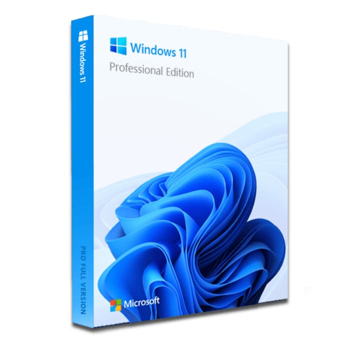 Windows 11 Pro - Licence perpétuelle - 1 PC - A télécharger