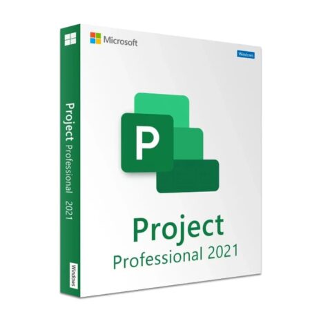 ms project pro 2021 box