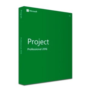 microsoft project pro 2016 box
