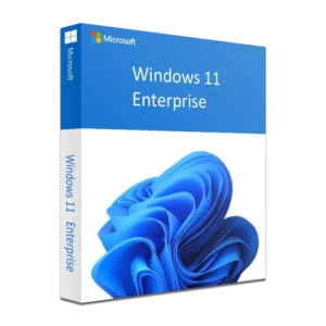 clé windows 11 enterprise